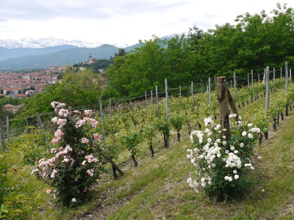 Residenza La Beccata Villa Pinerolo Exterior foto